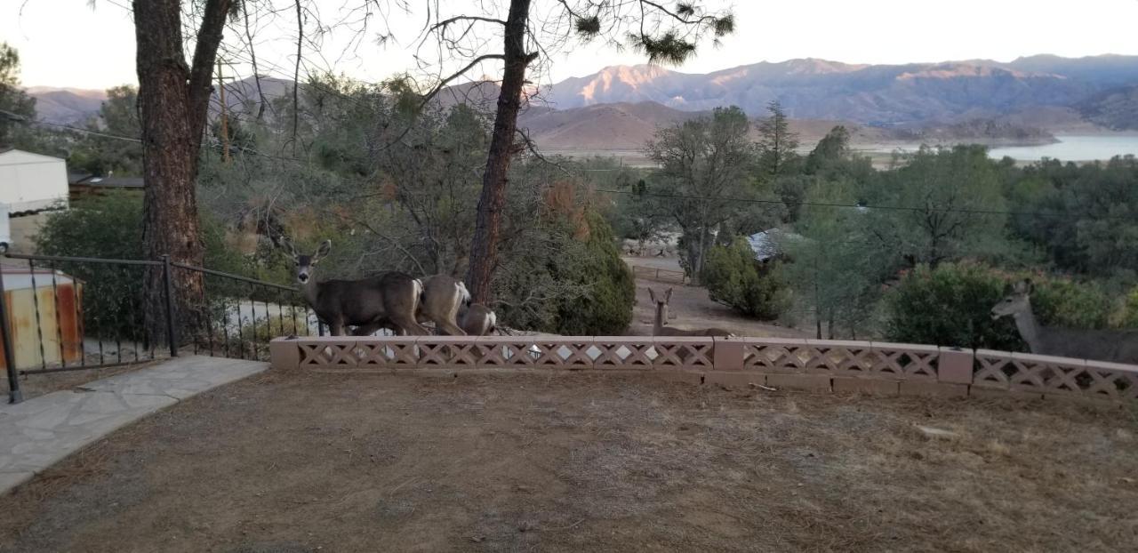 3Br Panoramic Lake View, Sequoia Forest, Kern County Wofford Heights Esterno foto